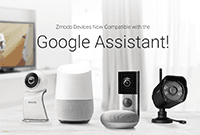 Google Assistant