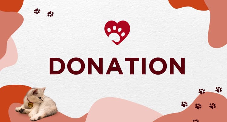 Zmodo Makes Donation to San Francisco SPCA