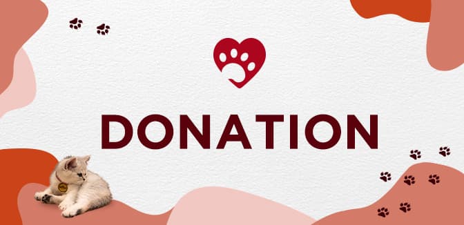 Ninth Software and Information Fair